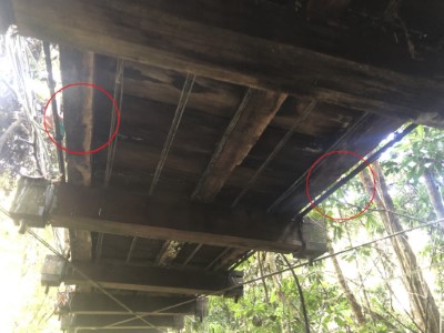 疑似破損位置  (照片由林業保育署新竹分署提供)